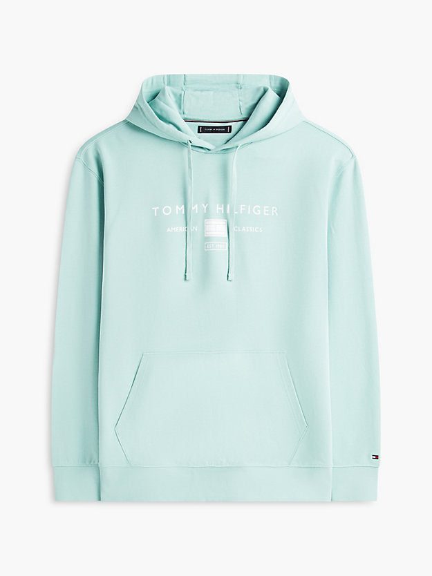 Plus Logo Terry Drawstring Hoody