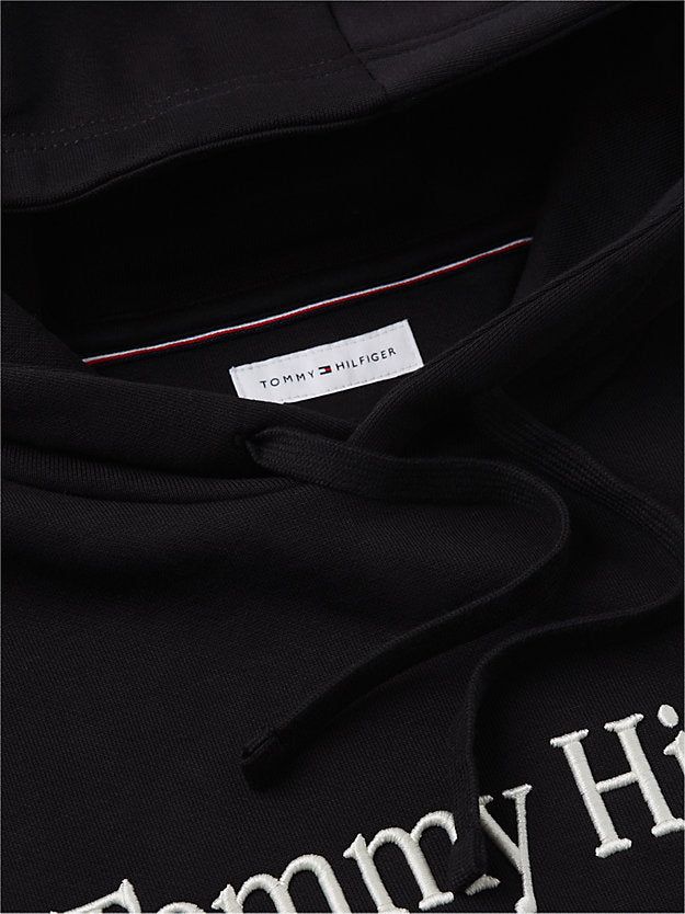 Logo Embroidery Fleece Hoody