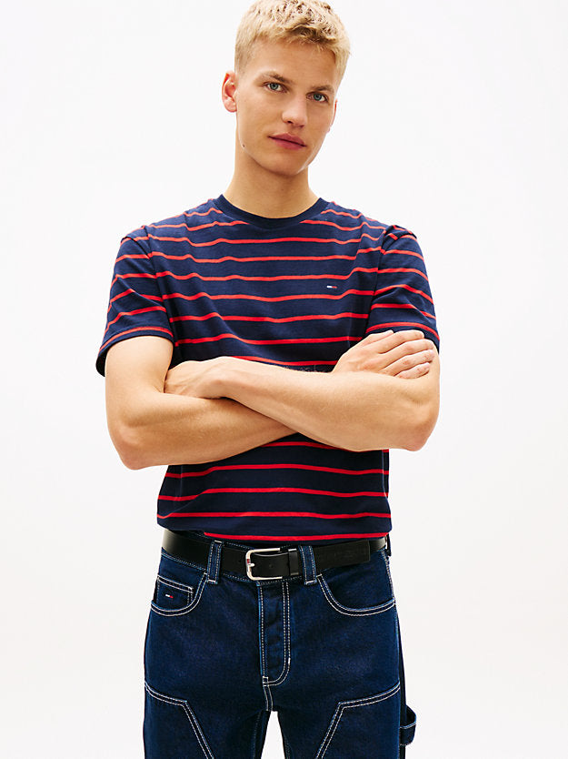 Flag Stripe Jersey T-Shirt