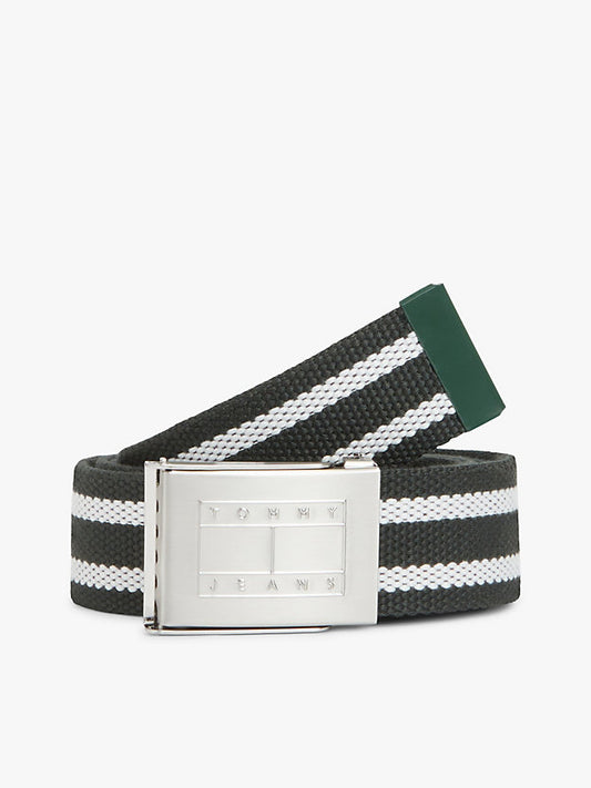 Ryan Stripe Webbing Belt