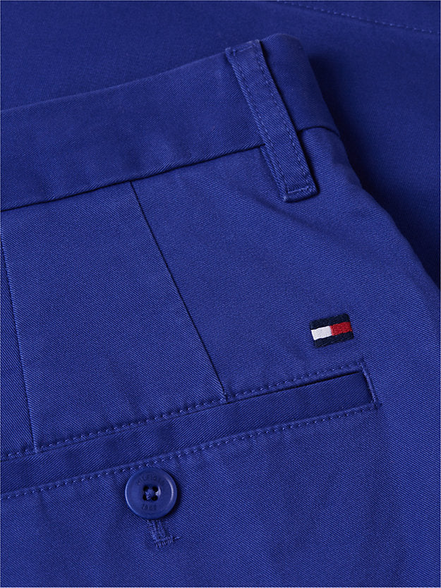 Dover Twill Regular Fit Chino Shorts